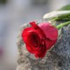 Må du være lykkelig efter mandens død? maa du vaere lykkelig efter mandens doed