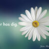 Sådan hjælper den åndelige verden dig aandelig verden vi er hos dig