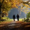 slow living podcast